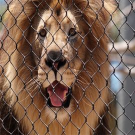 Ανοξείδωτο 304 αντι πλέγμα καλωδίων ζωολογικών κήπων δαγκώματος για το προστατευτικό πλέγμα περίφραξης λιονταριών ζώων